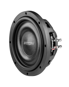 ETON MW 10 FLAT subwoofer